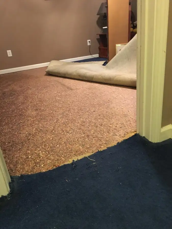 Carpet pad removal revealing water damage during Drying & Dehumidification in Auburn